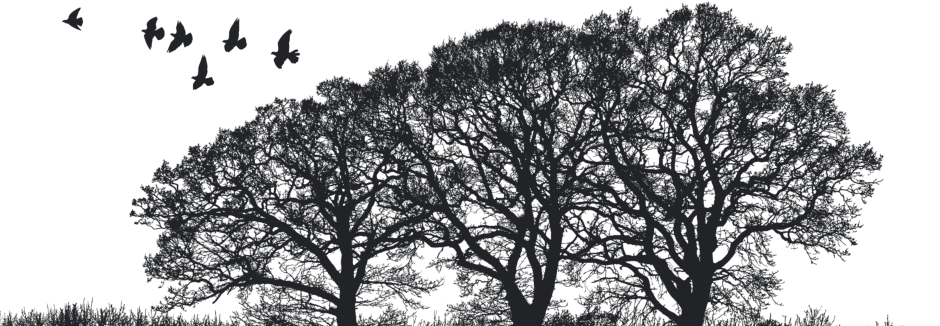 Crooked Billets Footer