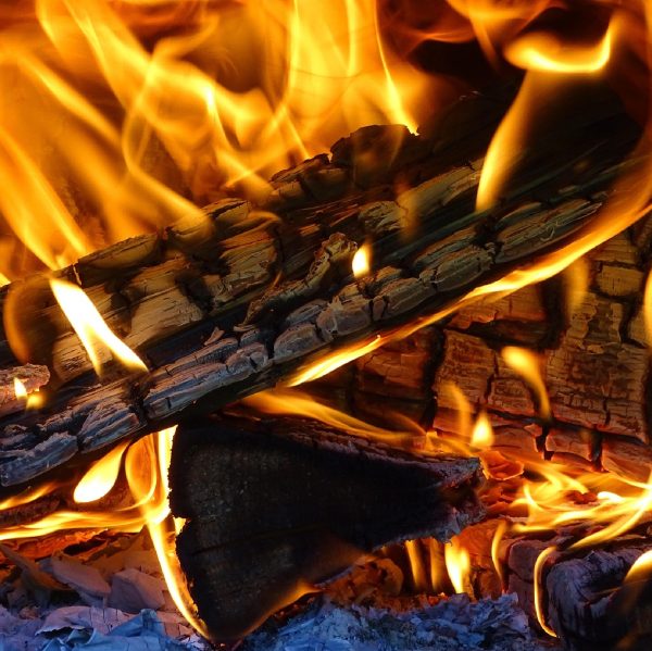 Firewood Hardwood Log Sales to Essex and Suffolk
